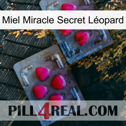 Miel Miracle Secret Léopard 14
